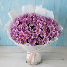 Букет цветов из:  Хризантемы в Зимогорье