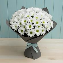 Букет цветов из:  Хризантемы #REPLACE_PRED# Зимогорье
