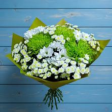 Букет цветов из:  Хризантемы #REPLACE_PRED# Зимогорье