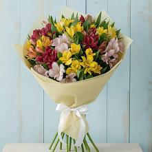 Букет цветов из:  Альстромерии в Зимогорье